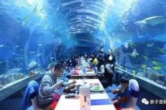 天津极地海洋馆,探索海洋奥秘，感受极地魅力