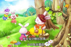 小白兔的故事大全,温馨故事汇编