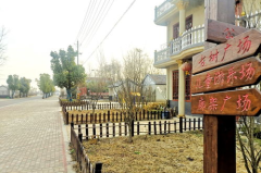 网红洼村,揭秘乡村新势力，探寻乡村振兴新路径