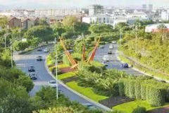 网红道路绿化,打造城市新风景线