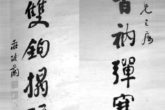 数字对联,探索数字对联中的文化韵味与智慧结晶