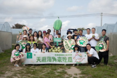 吃瓜网海角论坛,吃瓜群众热议网络热点事件