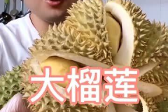 榴莲哥网红,网红界的“果香传奇”