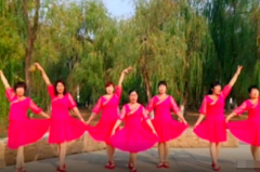 网红舞曲花,网红舞曲花引领潮流新风尚