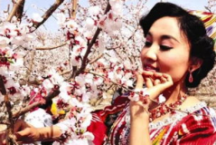 美丽的姑娘免费观看日本版,免费畅享日本版姑娘的视觉盛宴