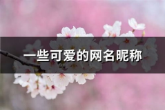 可爱的网名昵称,可爱风潮下的个性选择