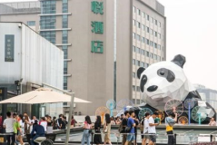 网红熊猫街,繁华都市中的萌宠乐园