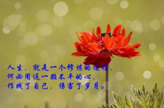经典人生哲理短句,启迪智慧，指引前行