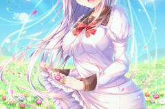 二次元动漫美女内衣,二次元动漫美女的时尚演绎