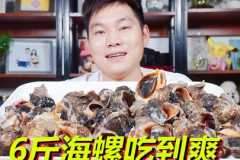 海螺肉网红,网红美食背后的故事与魅力
